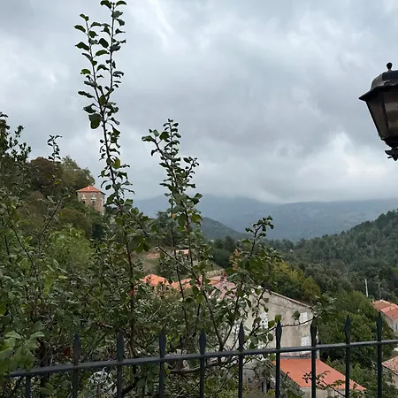 Villa Marcelle-3